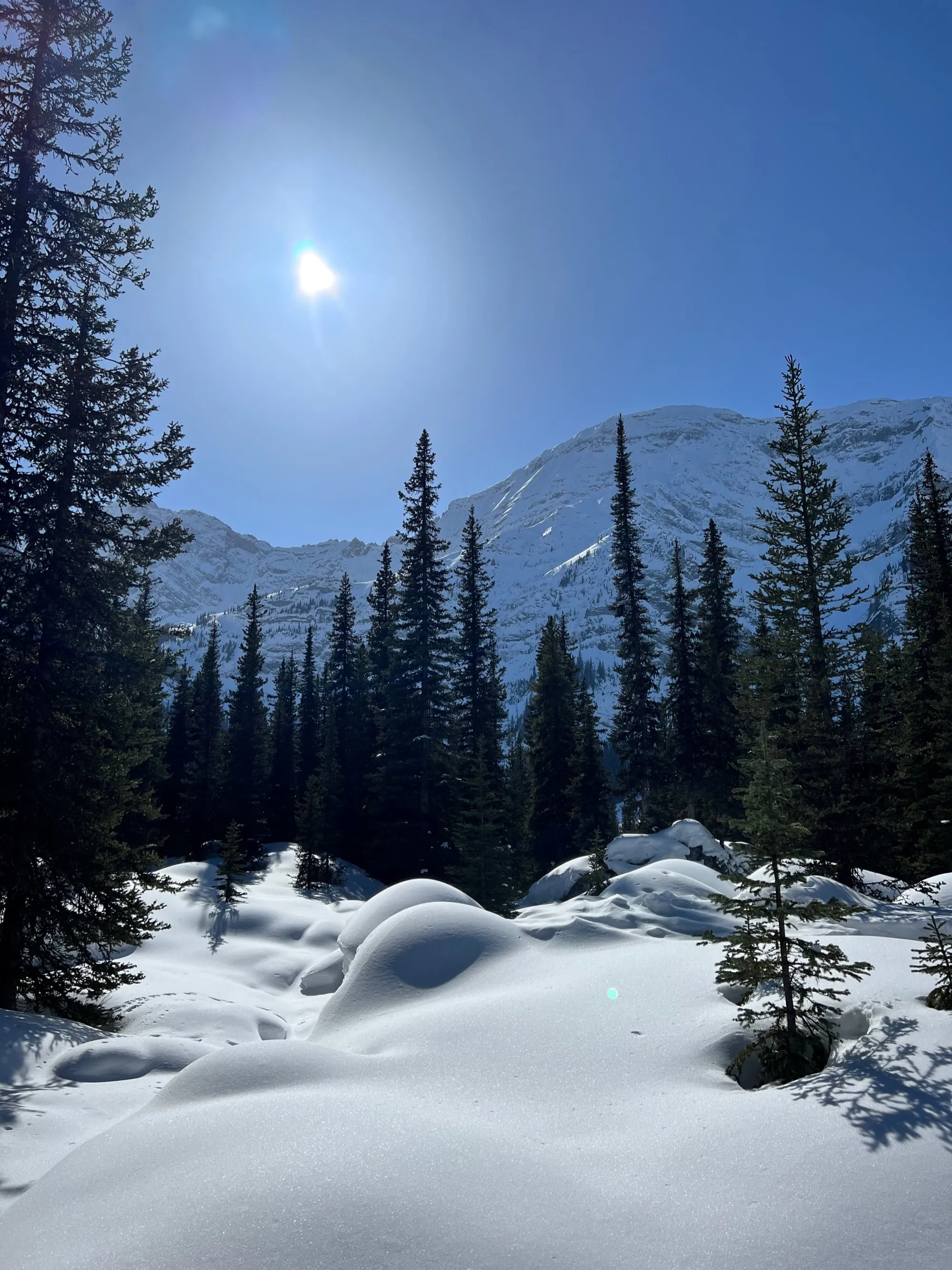 Snowy mountain landscape near Calgary, Alberta